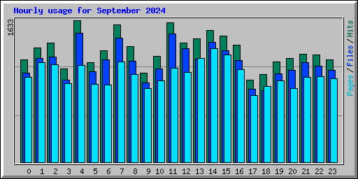 Hourly usage for September 2024