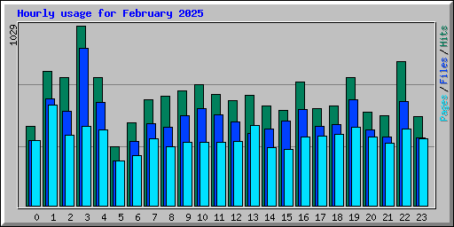 Hourly usage for February 2025